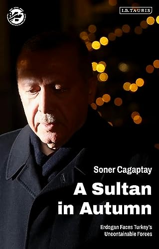 Stock image for A Sultan in Autumn: Erdogan Faces Turkey's Uncontainable Forces (The Washington Institute for Near East Policy) for sale by BooksRun