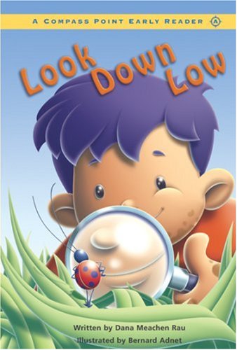 Beispielbild fr Look Down Low: Level A zum Verkauf von ThriftBooks-Atlanta