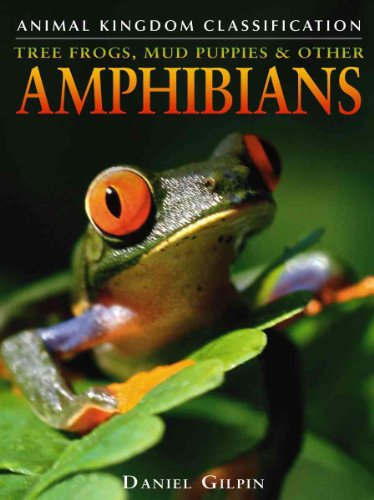 Beispielbild fr Tree Frogs, Mud Puppies, and Other Amphibians zum Verkauf von Better World Books