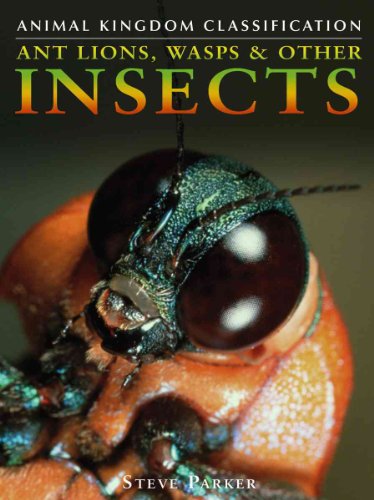 Ant Lions, Wasps & Other Insects (Animal Kingdom Classification) (9780756512507) by Parker, Steve