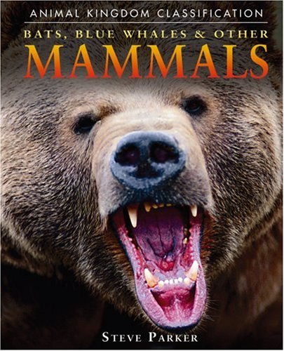9780756512538: Bats, Blue Whales & Other Mammals (Animal Kingdom Classification)