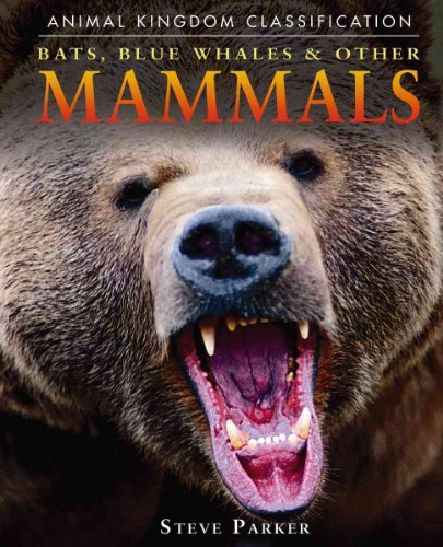 Stock image for Bats, Blue Whales, and Other Mammals for sale by Better World Books