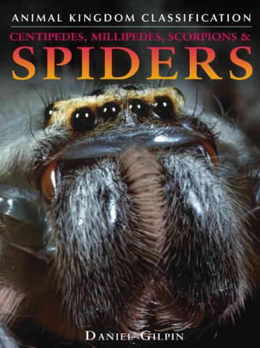 Centipedes, Millipedes, Scorpions & Spiders (Animal Kingdom Classification) (9780756512545) by Gilpin, Daniel