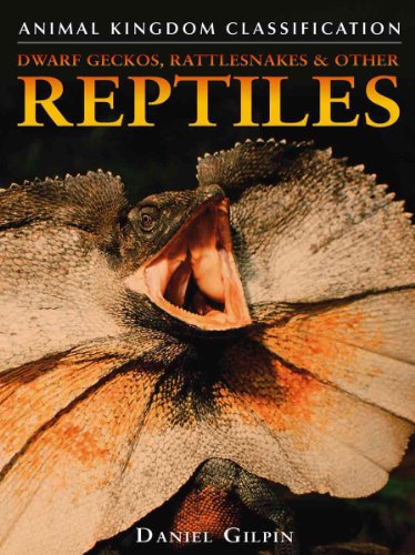 Beispielbild fr Dwarf Geckos, Rattlesnakes, and Other Reptiles zum Verkauf von Better World Books