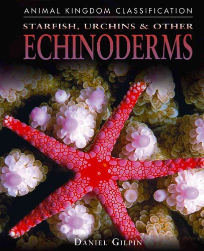 Beispielbild fr Starfish, Urchins, and Other Echinoderms zum Verkauf von ThriftBooks-Dallas