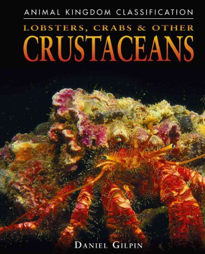 Imagen de archivo de Lobsters, Crabs, and Other Crustaceans a la venta por Better World Books