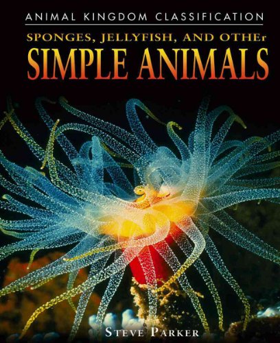 Beispielbild fr Sponges, Jellyfish, and Other Simple Animals zum Verkauf von Better World Books