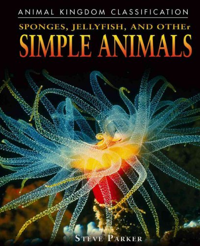 9780756516147: Sponges, Jellyfish, & Other Simple Animals (Animal Kingdom Classification)