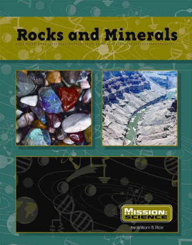 Imagen de archivo de Rocks and Minerals a la venta por Better World Books