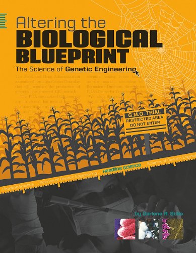 Altering the Biological Blueprint: The Science of Genetic Engineering (Headline: Science) (9780756540494) by Stille, Darlene R.