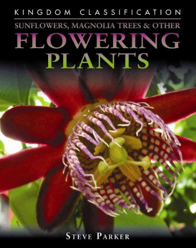 Sunflowers, Magnolia Trees & Other Flowering Plants (Kingdom Classifications) (9780756542221) by Parker, Steve