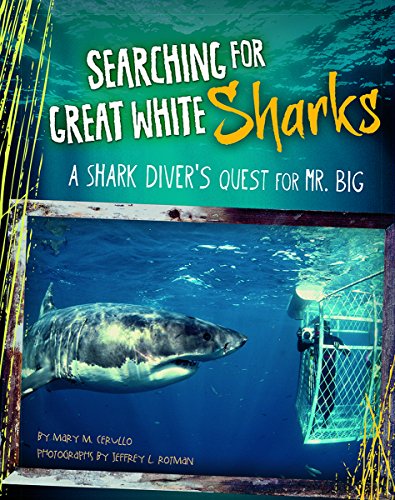 Imagen de archivo de Searching for Great White Sharks : A Shark Diver's Quest for Mr. Big a la venta por Better World Books: West