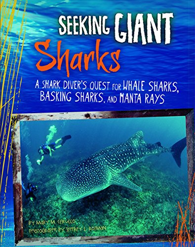 Imagen de archivo de Seeking Giant Sharks : A Shark Diver's Quest for Whale Sharks, Basking Sharks, and Manta Rays a la venta por Better World Books