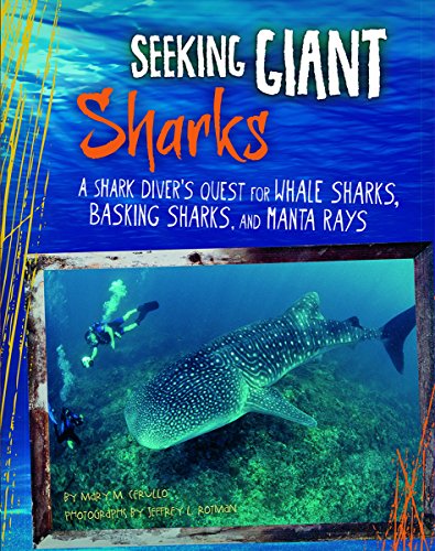 Stock image for Seeking Giant Sharks : A Shark Diver's Quest for Whale Sharks, Basking Sharks, and Manta Rays for sale by Better World Books