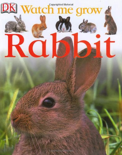 Beispielbild fr Rabbit zum Verkauf von ThriftBooks-Atlanta