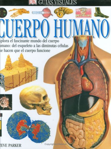 Stock image for Cuerpo Humano (DK Eyewitness Books) (Spanish Edition) for sale by ThriftBooks-Atlanta