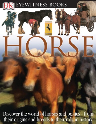 Imagen de archivo de Horse a la venta por Hawking Books