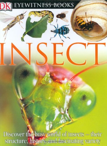 Imagen de archivo de Insect (DK Eyewitness Books) a la venta por Irish Booksellers