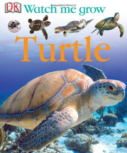 Beispielbild fr Turtle zum Verkauf von Better World Books