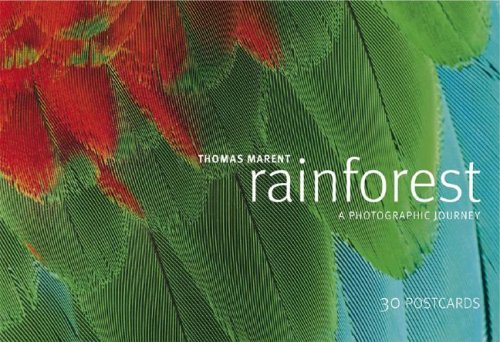 Beispielbild fr Rainforest Postcard Book zum Verkauf von ThriftBooks-Atlanta