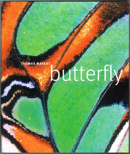 Beispielbild fr Butterfly : A Photographic Portrait zum Verkauf von Better World Books