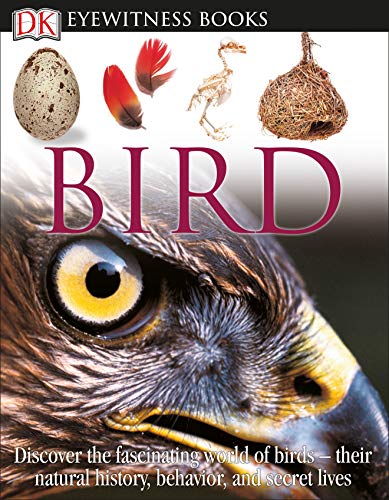 9780756637682: DK Eyewitness Books: Bird: Discover the Fascinating World of Birds―their Natural History, Behavior,
