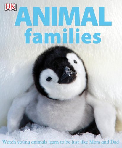 Imagen de archivo de Animal Families a la venta por ThriftBooks-Atlanta