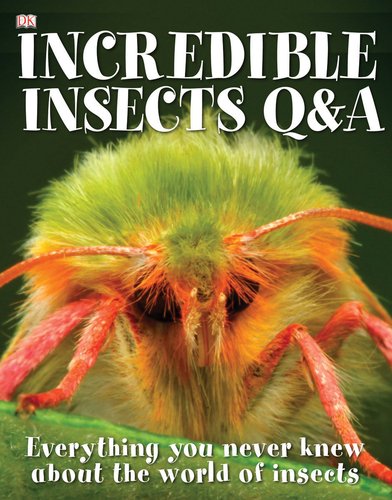 Stock image for Incredible Insects Q & A for sale by ThriftBooks-Dallas