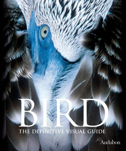Stock image for Bird: The Definitive Visual Guide for sale by Books of the Smoky Mountains