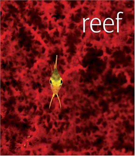 Beispielbild fr Reef zum Verkauf von Better World Books