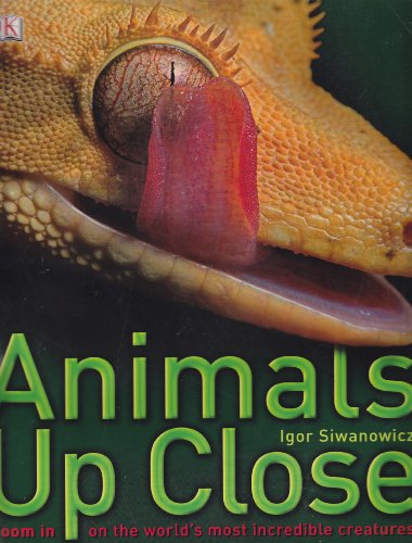 9780756656539: Animals Up Close: Zoom in on the World's Most Incredible Creatures by Igor Siwanowicz (2009-08-01)