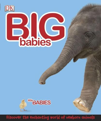 Stock image for Big Babies, Little Babies for sale by Better World Books: West