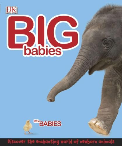 9780756661656: Big Babies, Little Babies: Discover the Enchanting World of Newborn Animals