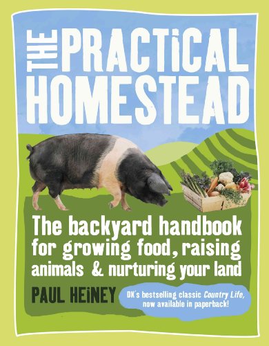 Beispielbild fr The Practical Homestead : The Backyard Handbook for Growing Food, Raising Animals, and Nurturing Your Land zum Verkauf von Better World Books