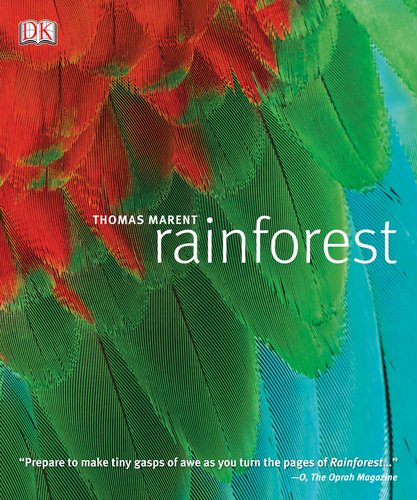 Beispielbild fr Rainforest zum Verkauf von HPB-Movies