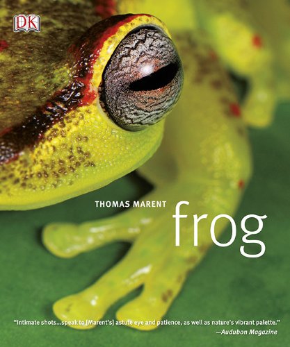 Beispielbild fr Frog : A Photographic Portrait zum Verkauf von Better World Books: West