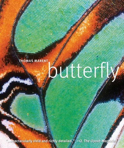 Beispielbild fr Butterfly zum Verkauf von ThriftBooks-Atlanta