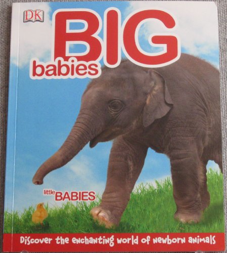 Beispielbild fr Big Babies, Little Babies zum Verkauf von Wonder Book