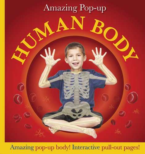 9780756682156: Amazing Pop-Up Human Body