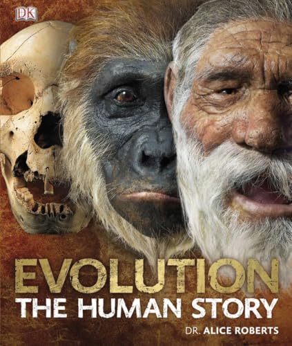 Stock image for Evolution: The Human Story for sale by Campbell Bookstore