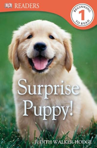 Beispielbild fr DK Readers L1: Surprise Puppy zum Verkauf von Better World Books