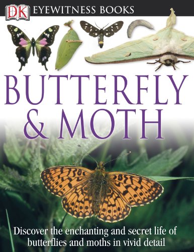 Stock image for DK Eyewitness Books: Butterfly and Moth : Butterfly and Moth for sale by Better World Books