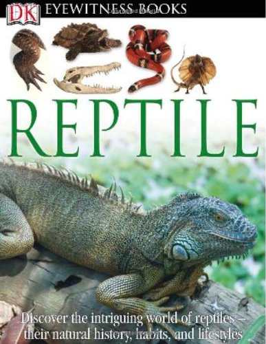 Stock image for DK Eyewitness Books: Reptile for sale by HPB-Ruby