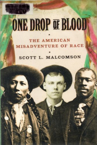 9780756763428: One Drop of Blood: The American Misadventure of Race