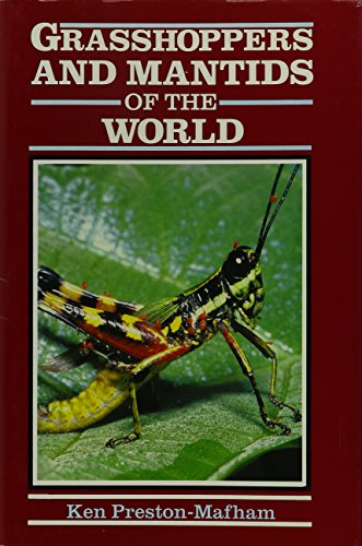 9780756770716: Grasshoppers & Mantids of the World