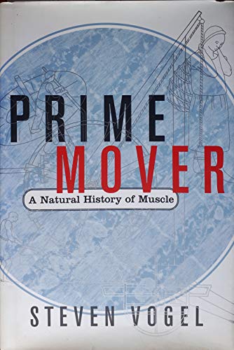 prime mover muscle prime mover muscle