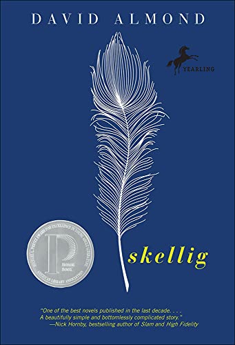 Stock image for Skellig for sale by Hippo Books