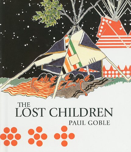 9780756912536: The Lost Children: The Boys Who Were Neglected