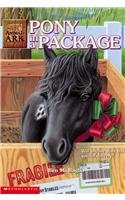 Pony in a Package (Animal Ark (Pb)) (9780756935764) by Baglio, Ben M.