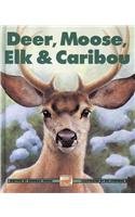 Deer, Moose, Elk and Caribou (Kids Can Press Wildlife (Pb)) (9780756941048) by Pat Stephens Deborah Hodge